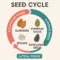 Seeds for Fertility: A Comprehensive Guide